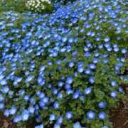 ヒメ日記 2025/03/28 14:00 投稿 ひび ANGEL KISS 池袋