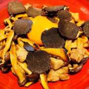 ヒメ日記 2025/04/27 14:00 投稿 ひび ANGEL KISS 池袋