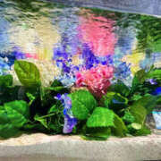 ヒメ日記 2025/06/25 14:00 投稿 ひび ANGEL KISS 池袋