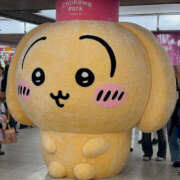 ヒメ日記 2025/08/11 15:00 投稿 ひび ANGEL KISS 池袋