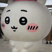 ヒメ日記 2025/08/14 15:00 投稿 ひび ANGEL KISS 池袋