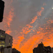 ヒメ日記 2025/11/24 15:00 投稿 ひび ANGEL KISS 池袋