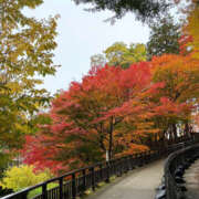 ヒメ日記 2025/12/08 15:00 投稿 ひび ANGEL KISS 池袋