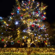 ヒメ日記 2025/12/25 15:15 投稿 ひび ANGEL KISS 池袋