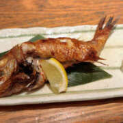 ヒメ日記 2025/12/26 15:15 投稿 ひび ANGEL KISS 池袋