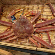 ヒメ日記 2026/01/03 15:15 投稿 ひび ANGEL KISS 池袋