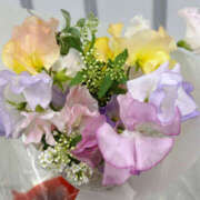 ヒメ日記 2026/02/19 15:15 投稿 ひび ANGEL KISS 池袋