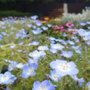 ヒメ日記 2025/05/01 13:58 投稿 綾瀬（あやせ） ユカノモリ