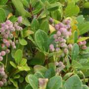 ヒメ日記 2025/10/09 16:18 投稿 綾瀬（あやせ） ユカノモリ