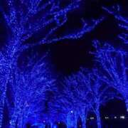 ヒメ日記 2025/11/08 20:31 投稿 綾瀬（あやせ） ユカノモリ