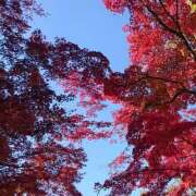 ヒメ日記 2025/11/24 18:30 投稿 綾瀬（あやせ） ユカノモリ