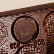 ヒメ日記 2025/12/29 12:00 投稿 綾瀬（あやせ） ユカノモリ