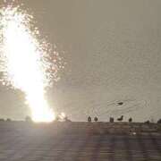 ヒメ日記 2026/01/29 16:45 投稿 綾瀬（あやせ） ユカノモリ