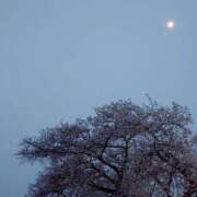 ヒメ日記 2026/04/03 17:00 投稿 綾瀬（あやせ） ユカノモリ