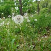 ヒメ日記 2026/04/29 16:29 投稿 綾瀬（あやせ） ユカノモリ