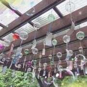 ヒメ日記 2026/07/16 16:30 投稿 綾瀬（あやせ） ユカノモリ