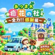 ヒメ日記 2026/10/18 12:00 投稿 綾瀬（あやせ） ユカノモリ