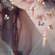 ヒメ日記 2025/03/25 18:21 投稿 なお MIKADO