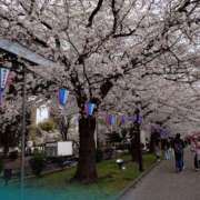 ヒメ日記 2025/04/01 05:11 投稿 水樹（みずき） ユカノモリ