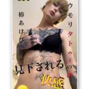 ヒメ日記 2025/08/29 18:07 投稿 椿あけび ニューハーフヘルスLIBE大阪梅田店