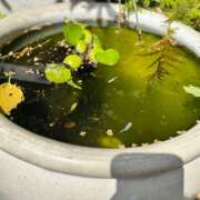 ヒメ日記 2025/05/05 17:30 投稿 みな an_an（アンアン）