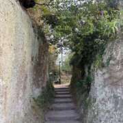 ヒメ日記 2025/10/29 00:10 投稿 はつね ミセス クリエーション