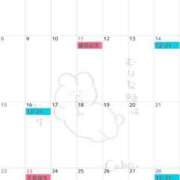 ヒメ日記 2026/01/31 18:00 投稿 さらさ マリアージュ大宮