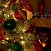 ヒメ日記 2025/12/02 10:20 投稿 しょうこ ミセス クリエーション