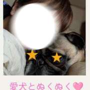 ヒメ日記 2025/12/11 10:00 投稿 しょうこ ミセス クリエーション