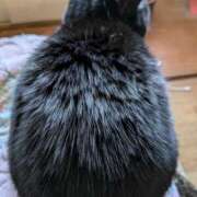 しょうこ あともう少し 😖 ミセス クリエーション