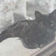 ヒメ日記 2026/03/08 23:40 投稿 しょうこ ミセス クリエーション