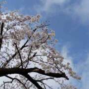 ヒメ日記 2026/04/06 13:40 投稿 しょうこ ミセス クリエーション