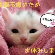 ヒメ日記 2026/05/12 19:05 投稿 しょうこ ミセス クリエーション