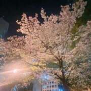 ヒメ日記 2025/04/23 21:51 投稿 さち ごほうびSPA名古屋店