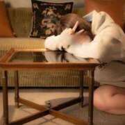 ヒメ日記 2025/08/08 12:08 投稿 さち ごほうびSPA名古屋店