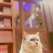 ヒメ日記 2026/02/23 12:08 投稿 さち ごほうびSPA名古屋店