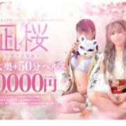 ヒメ日記 2025/04/18 23:17 投稿 まゆか 三つ乱本館