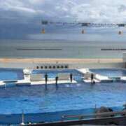 ヒメ日記 2025/04/28 17:27 投稿 まゆか 三つ乱本館