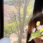 ヒメ日記 2025/04/29 12:37 投稿 まゆか 三つ乱本館