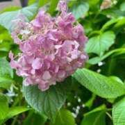 ヒメ日記 2025/07/01 14:07 投稿 まゆか 三つ乱本館