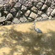 ヒメ日記 2025/07/21 23:17 投稿 まゆか 三つ乱本館