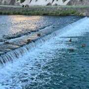 ヒメ日記 2025/08/21 23:37 投稿 まゆか 三つ乱本館