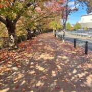 ヒメ日記 2025/11/21 12:57 投稿 まゆか 三つ乱本館