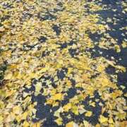 ヒメ日記 2025/12/03 16:17 投稿 まゆか 三つ乱本館