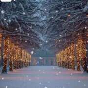 ヒメ日記 2025/12/25 13:59 投稿 まゆか 三つ乱本館