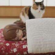 ヒメ日記 2026/01/17 23:57 投稿 まゆか 三つ乱本館