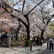 まゆか いよいよ💭 三つ乱本館