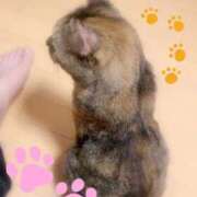 ヒメ日記 2025/09/30 22:04 投稿 千明（ちあき） 京都痴女性感フェチ倶楽部