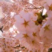 ヒメ日記 2025/03/27 08:18 投稿 香坂ゆうみ シロガネーゼ