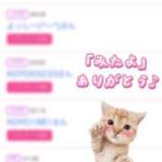 ヒメ日記 2025/05/07 19:39 投稿 姫嶋 りょう カサノヴァ